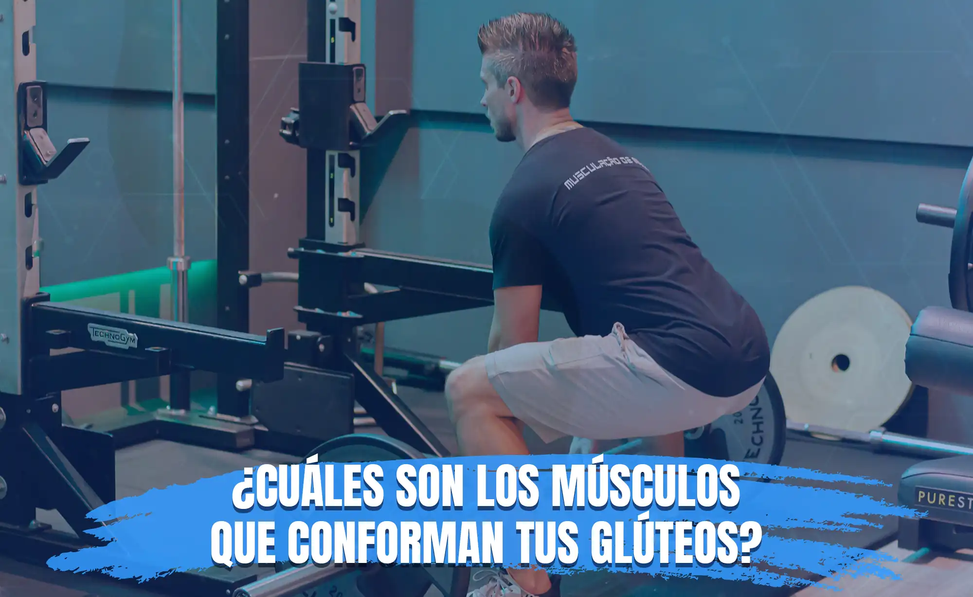 ¿Cuáles son los músculos que conforman tus glúteos?